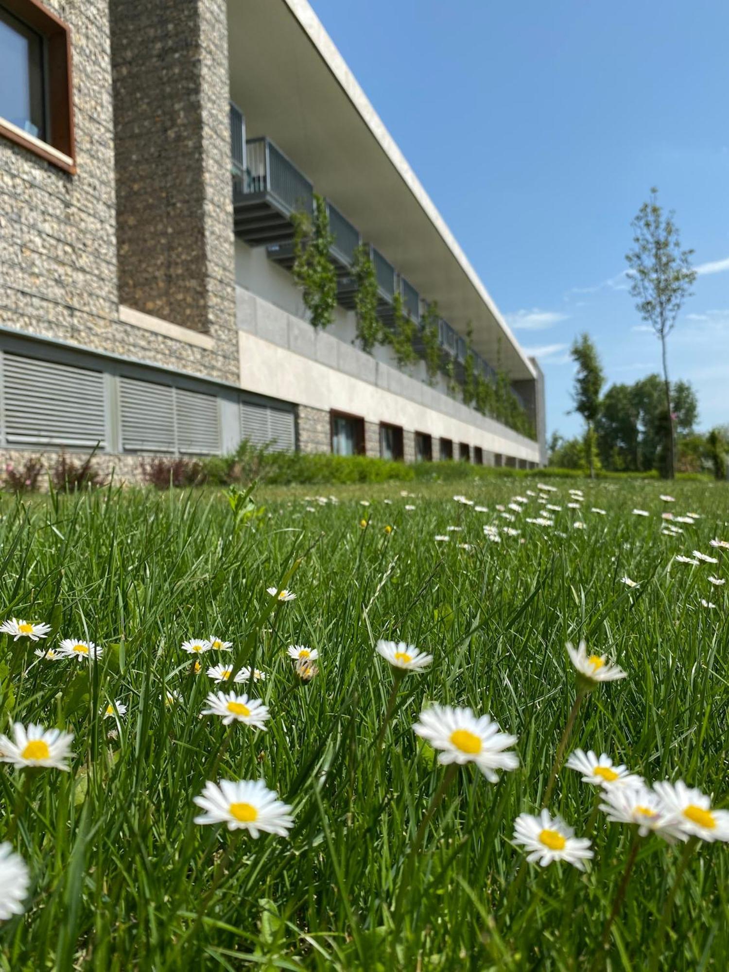 Akadémia Hotel Balatonfüred Esterno foto